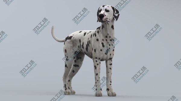 images/goods_img/20210312/Dalmatian Rigged 3D model/2.jpg